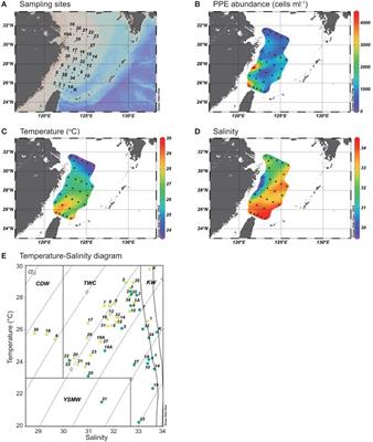 The Spatial Variation in Chlorophyte Community Composition From Coastal to Offshore Waters in a Subtropical Continental Shelf System